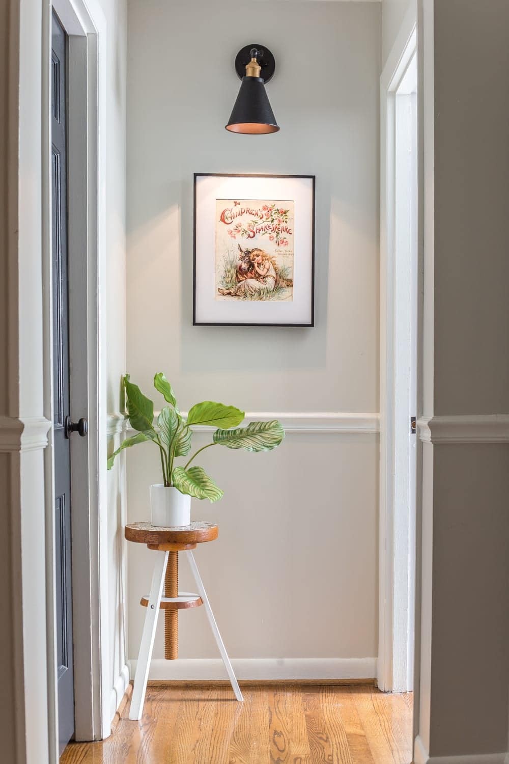 hallway with wall sconce light above artwork and indoor plant