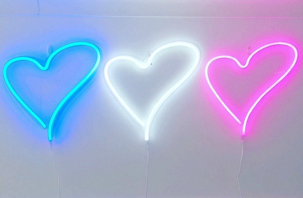 neon poodle neon heart love heart light the life creative